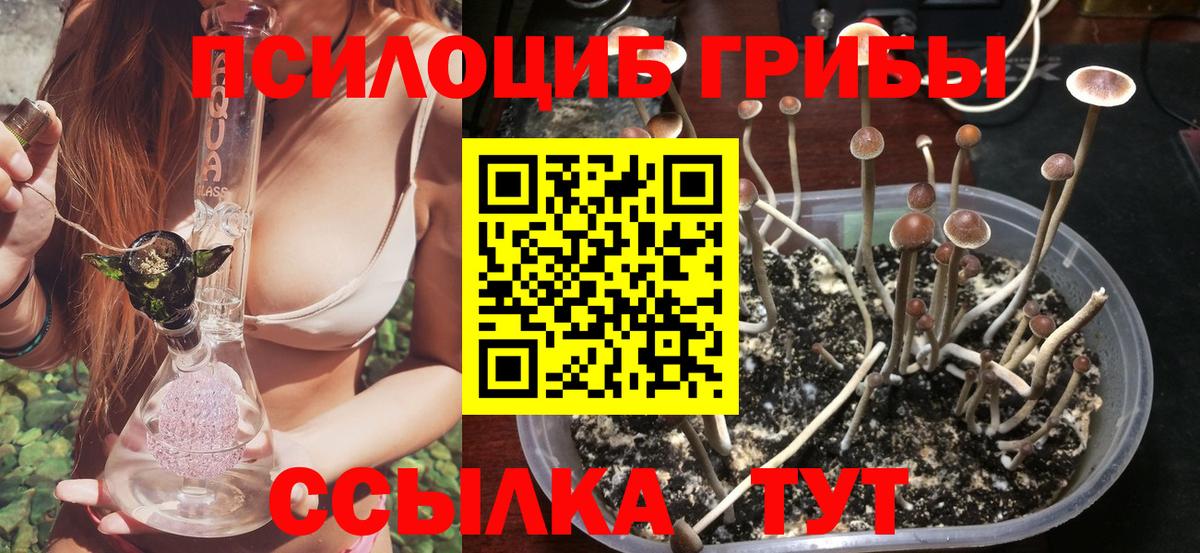Псилоцибиновые грибы прущие грибы Нефтекумск